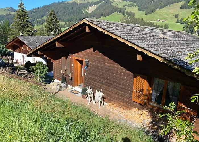 Chalet Sorgenfrei